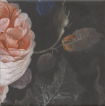 Фото MLD/A108/5009 Парк Роз 20*20 декор КЕРАМА МАРАЦЦИ