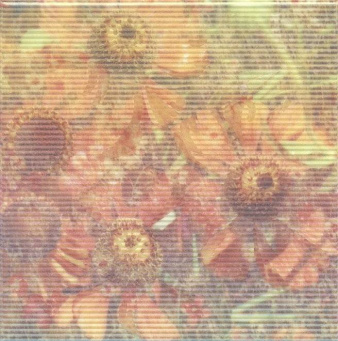 фото NT/A100/5155 Весеннее шоу Герберы декор КЕРАМА МАРАЦЦИ