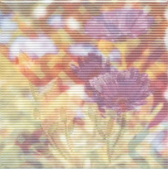 фото NT/A98/5155 Весеннее шоу Календула декор КЕРАМА МАРАЦЦИ