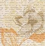 фото STG/B58/5179 Амрита декор КЕРАМА МАРАЦЦИ