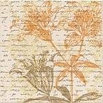 фото STG/B60/5179 Амрита декор КЕРАМА МАРАЦЦИ