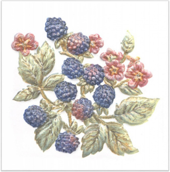 фото TFA010 Оранжерея Ежевика декор КЕРАМА МАРАЦЦИ