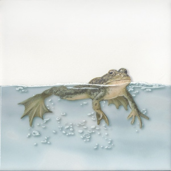 фото VT/A472/5009 Чудо-озеро 5 20*20 декор КЕРАМА МАРАЦЦИ