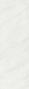 фото 12103R Борсари белый обрезной 25*75 керамическая плитка КЕРАМА МАРАЦЦИ