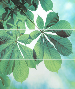 фото STG/A375/3x/7000 Читара 60*50 панно КЕРАМА МАРАЦЦИ