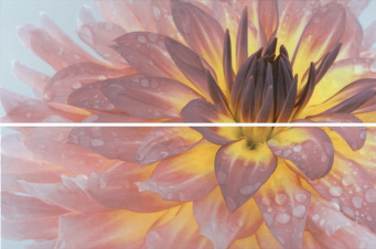 фото STG/A444/2x/12093R Искья Цветы обрезной 50*75 панно КЕРАМА МАРАЦЦИ